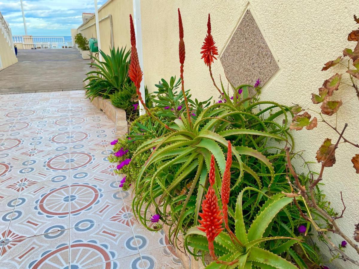 Royal Beach House Vista Mar Torre La Mata Exterior foto